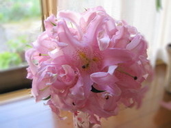 ���ԂŃA�����W