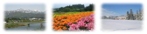 �����s�̕��i